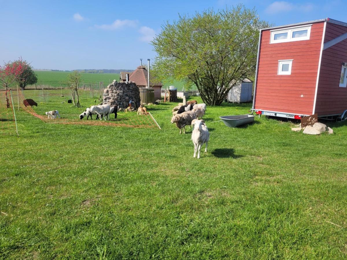 Tiny House Villa Schonbeck  Exterior photo